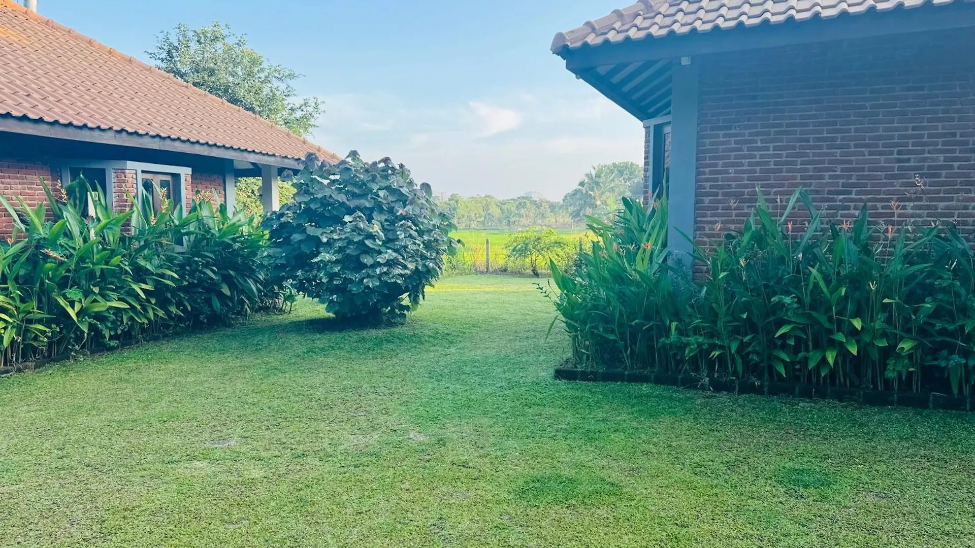 Foresta Resort Sigiriya