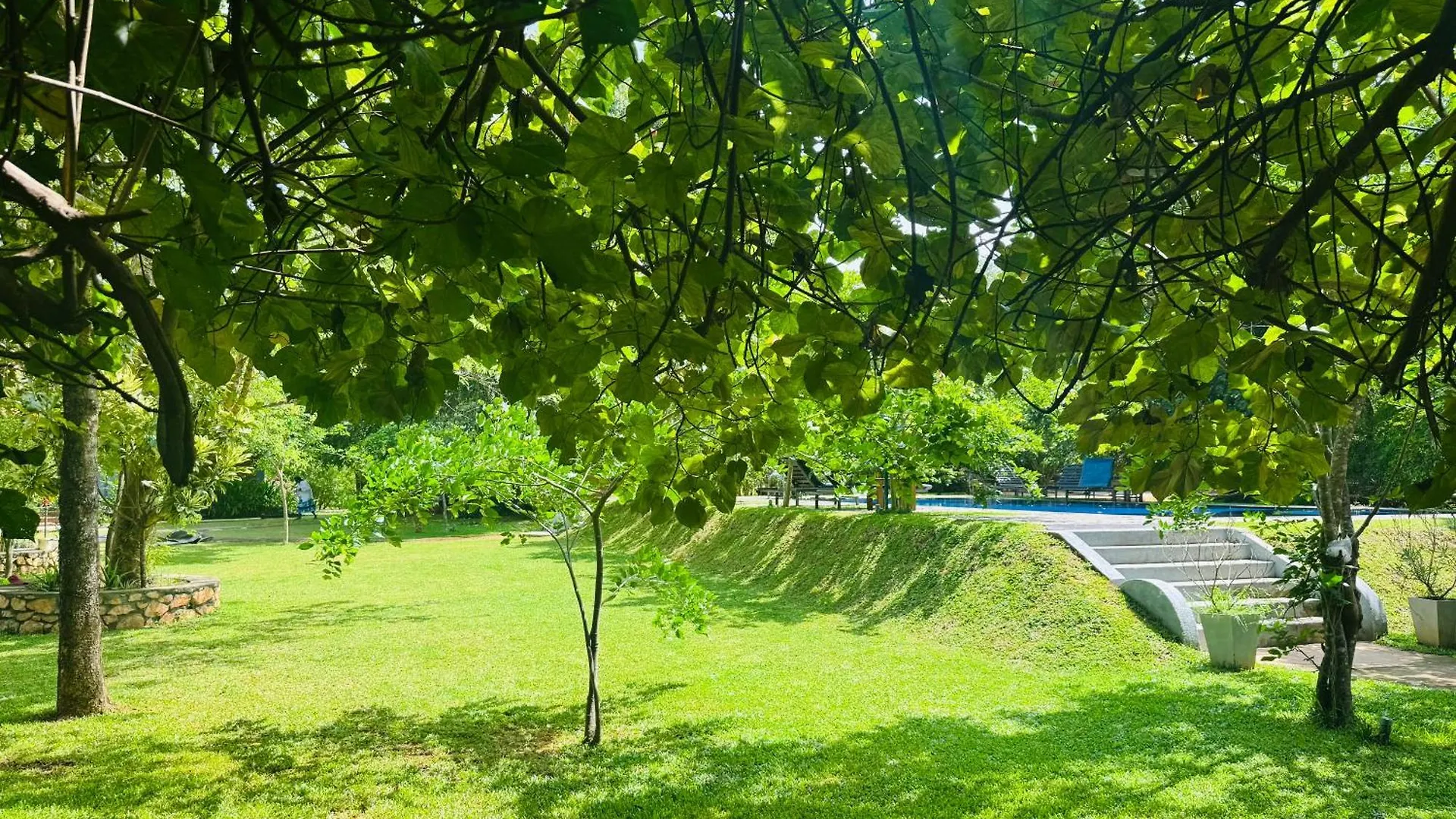 Foresta Resort Sigiriya